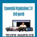 Exponential Organizations 2.0 (Self-paced) - Salim Ismail and Kent Langley